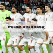 欧冠杯排名(欧冠足球联赛排名)