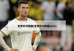 世界杯对阵图(世界杯对阵图2022)