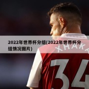 2022年世界杯分组(2022年世界杯分组情况图片)