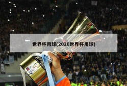 世界杯用球(2026世界杯用球)