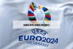 法国队球衣(法国队球衣图片)