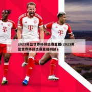 2023男篮世界杯预选赛直播(2023男篮世界杯预选赛直播网站)