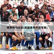 世界杯乌拉圭(历届世界杯冠军表)