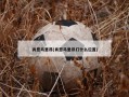 肖恩马里昂(肖恩马里昂打什么位置)