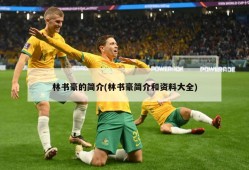 林书豪的简介(林书豪简介和资料大全)