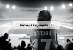 英格兰申办世界杯(世界杯英格兰队)
