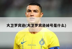 大卫罗宾逊(大卫罗宾逊绰号是什么)