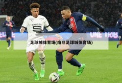 足球城体育场(南非足球城体育场)