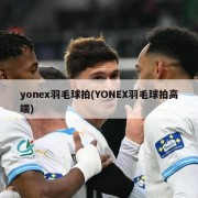 yonex羽毛球拍(YONEX羽毛球拍高端)