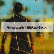 马刺热火总决赛(马刺热火总决赛2014)