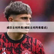 威尔士对丹麦(威尔士对丹麦看点)